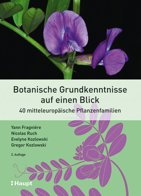 Botanische Grundkenntnisse auf einen Blick - Yann Fragnière, Nicolas Ruch, Evelyne Kozlowski, Gregor Kozlowski