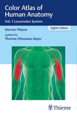 Color Atlas of Human Anatomy, Volume 1 - Platzer, Werner; Shiozawa-Bayer, Thomas