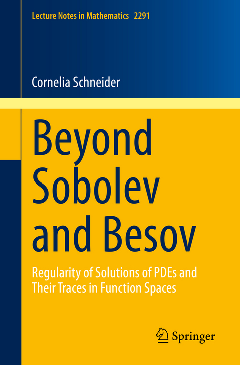Beyond Sobolev and Besov - Cornelia Schneider