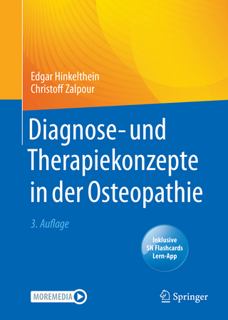 Diagnose- und Therapiekonzepte in der Osteopathie - Edgar Hinkelthein; Christoff Zalpour