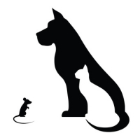 Die Kleintier Konkret Praxisbücher im Enke Verlag