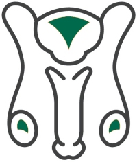 Facharztprüfung Urologie