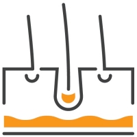 Facharztprüfung Dermatologie