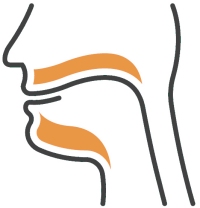 Facharztprüfung HNO