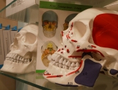 Lehmanns Media Buchhandlung in Berlin - Friedrichstraße