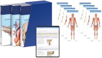 Ist der Prometheus der richtige Anatomieatlas für mich?