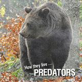 How they live... Predators - Ivan Esenko, David Withrington