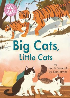 Reading Champion: Big Cats, Little Cats - Sarah Snashall