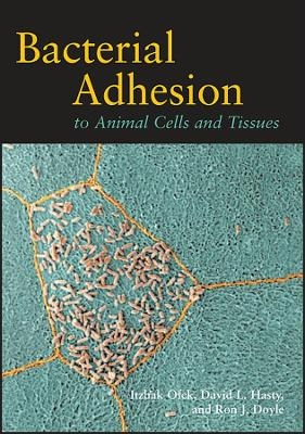 Bacterial Adhesion to Animal Cells and Tissues