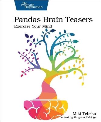 Pandas Brain Teasers - Miki Tebeka