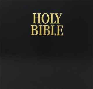 New Living Translation Loose Leaf Bible with Binder (Loose-Leaf)