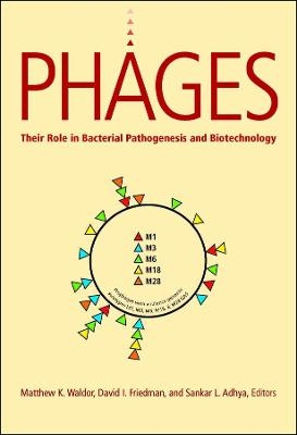 Phages &ndash; Their Role in Pathogen and Biotechnology - MK Waldor