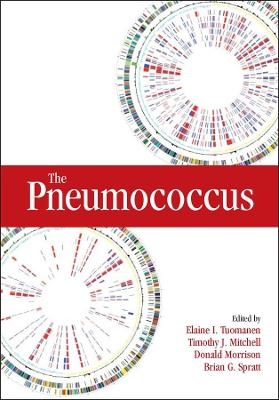 The Pneumococcus