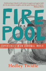 Firepool - Hedley Twidle