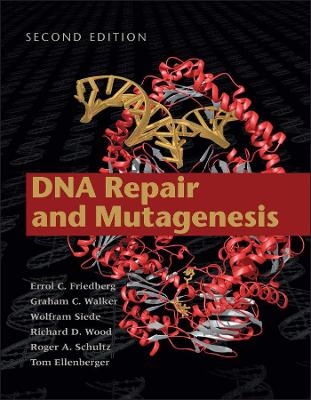 DNA Repair and Mutagenesis 2nd Edition