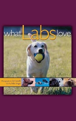 What Labs Love