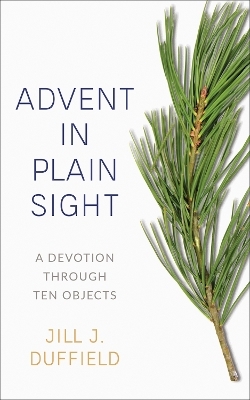 Advent in Plain Sight - Jill J. Duffield