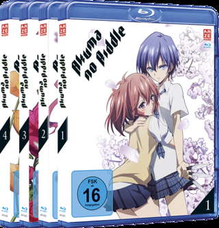 Akuma no Riddle - Gesamtausgabe - Bundle - Vol.1-4 Blu-ray [ohne Schuber]