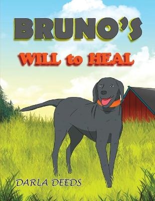 Bruno's Will to Heal - Darla Deeds