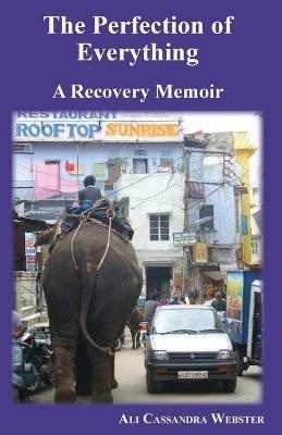 The Perfection of Everything - Ali Webster