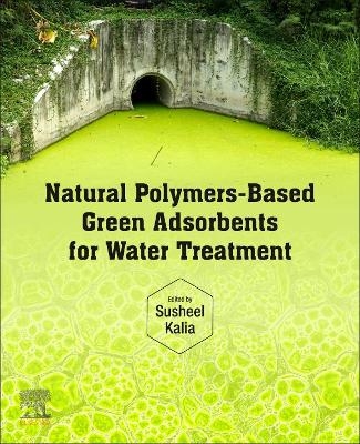 Natural Polymers&ndash;Based Green Adsorbents for Water Treatment - 