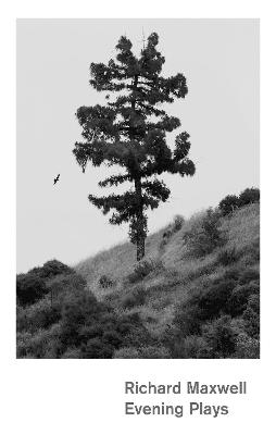Evening Plays - Richard Maxwell