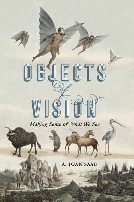 Objects of Vision - A. Joan Saab