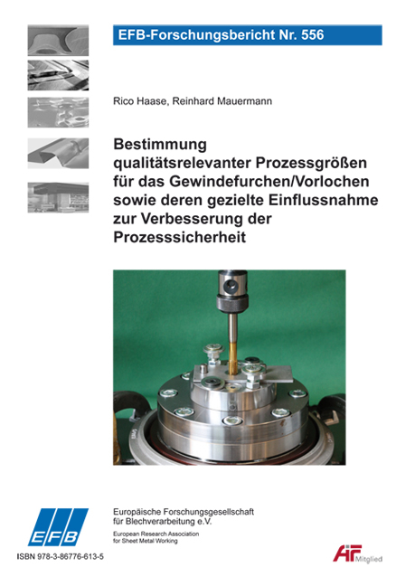 Bestimmung qualit&auml;tsrelevanter Prozessgr&ouml;&szlig;en f&uuml;r das Gewindefurchen/Vorlochen sowie deren gezielte Einflussnahme zur Verbesserung der Prozesssicherheit - Reinhard Mauermann, Rico Haase