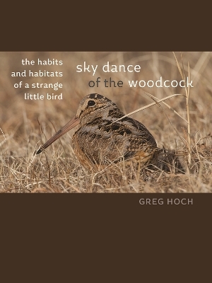 Sky Dance of the Woodcock - Greg Hoch