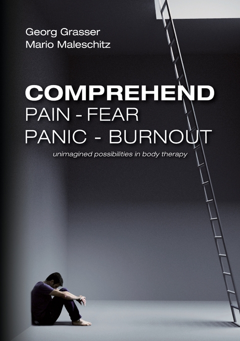 Comprehend Pain-Fear-Panic-Burnout - Mario Maleschitz, Georg Grasser