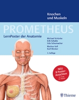PROMETHEUS LernPoster der Anatomie, Knochen und Muskeln - Schünke, Michael; Schulte, Erik; Schumacher, Udo