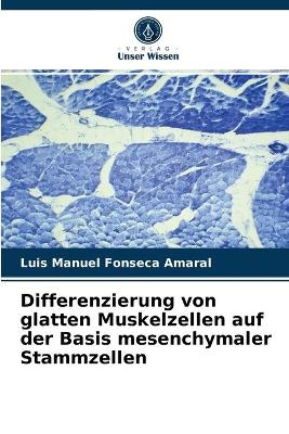 Differenzierung von glatten Muskelzellen auf der Basis mesenchymaler Stammzellen