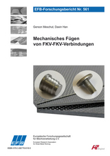 Mechanisches F&uuml;gen von FKV-FKV-Verbindungen - Gerson Meschut, Daxin Han