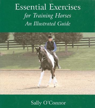 Essential Exercises for Training Horses