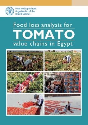 Food loss analysis for tomato value chains in Egypt -  Food and Agriculture Organization
