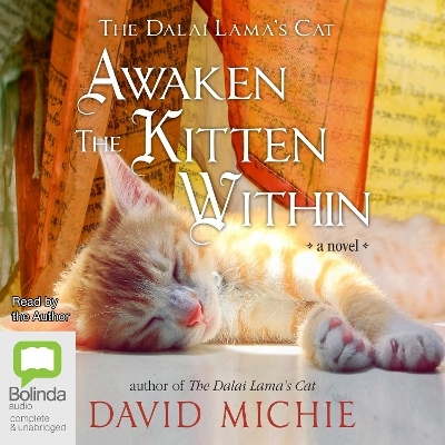 Awaken the Kitten Within - David Michie