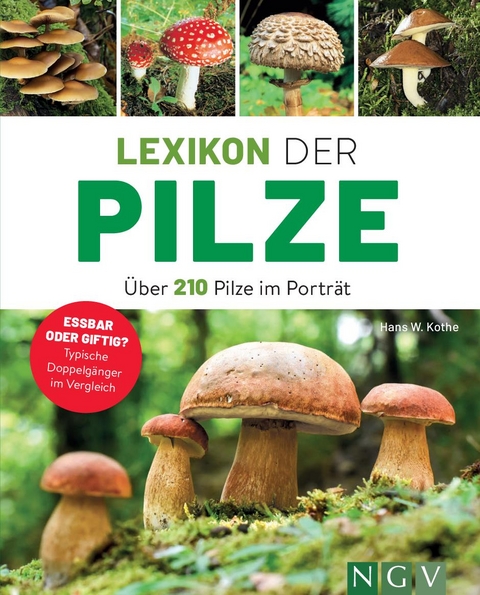 Lexikon der Pilze - &Uuml;ber 210 Pilze im Portr&auml;t - Hans W. Kothe