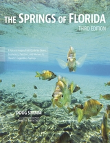 The Springs of Florida - Doug Stamm