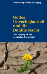 Gottes Unverf&uuml;gbarkeit und die Dunkle Nacht - 