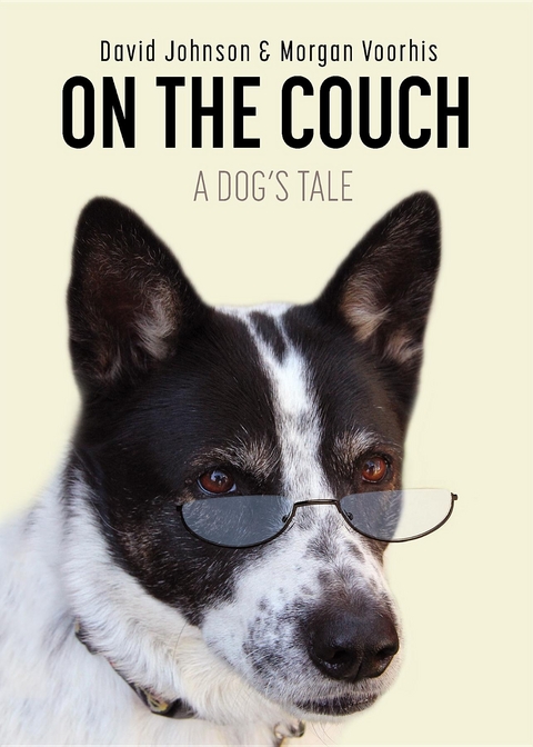 On the Couch - David Johnson, Morgan Voorhis