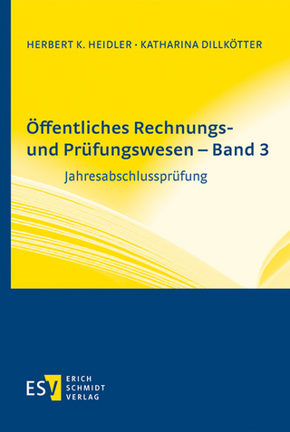 Öffentliches Rechnungs- und Prüfungswesen - Band 3