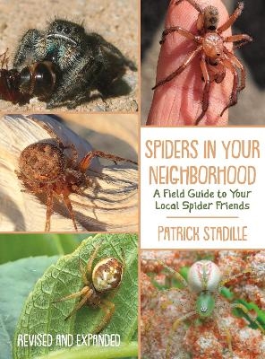 Spiders in Your Neighborhood - Patrick Stadille