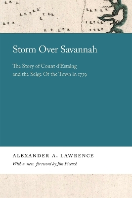 Storm over Savannah - Alexander Lawrence