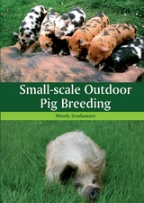 Small-scale Outdoor Pig Breeding - Wendy Scudamore