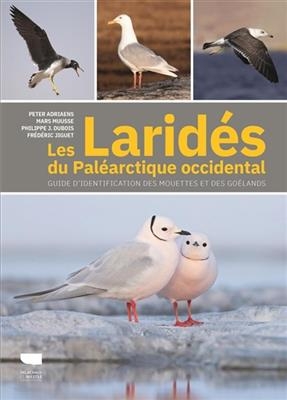 Les larid&eacute;s du pal&eacute;arctique occidental : guide d'identification des mouettes et des go&euml;lands -  ADRIAENS MUUSSE DUBO
