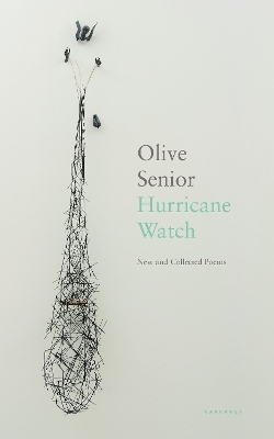 Hurricane Watch - Olive Senior