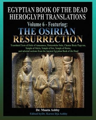 Egyptian Book of the Dead Hieroglyph Translations Volume 6 Featuring The Osirian Resurrection - Muata Ashby