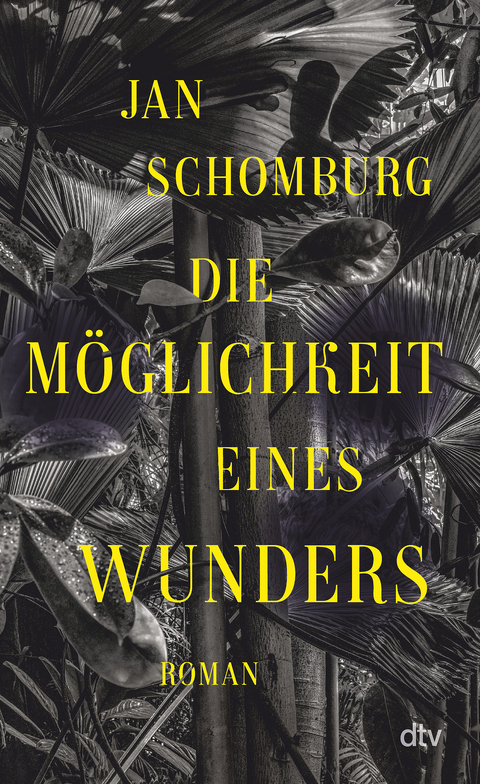 Die M&ouml;glichkeit eines Wunders - Jan Schomburg