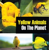 Yellow Animals On The Planet - Baby Professor