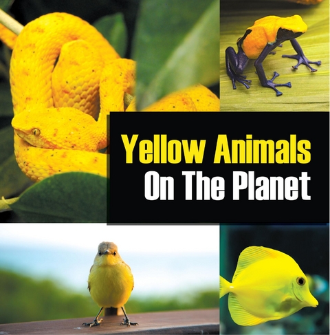 Yellow Animals On The Planet - Baby Professor